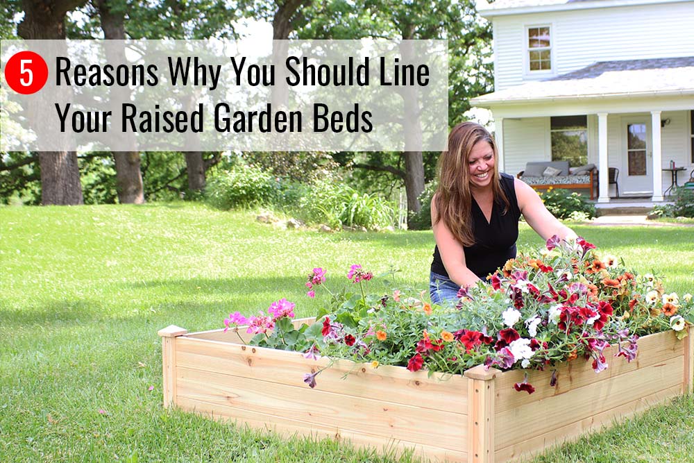 Here's Why Raised Garden Beds Are a Must (and How to Make One)