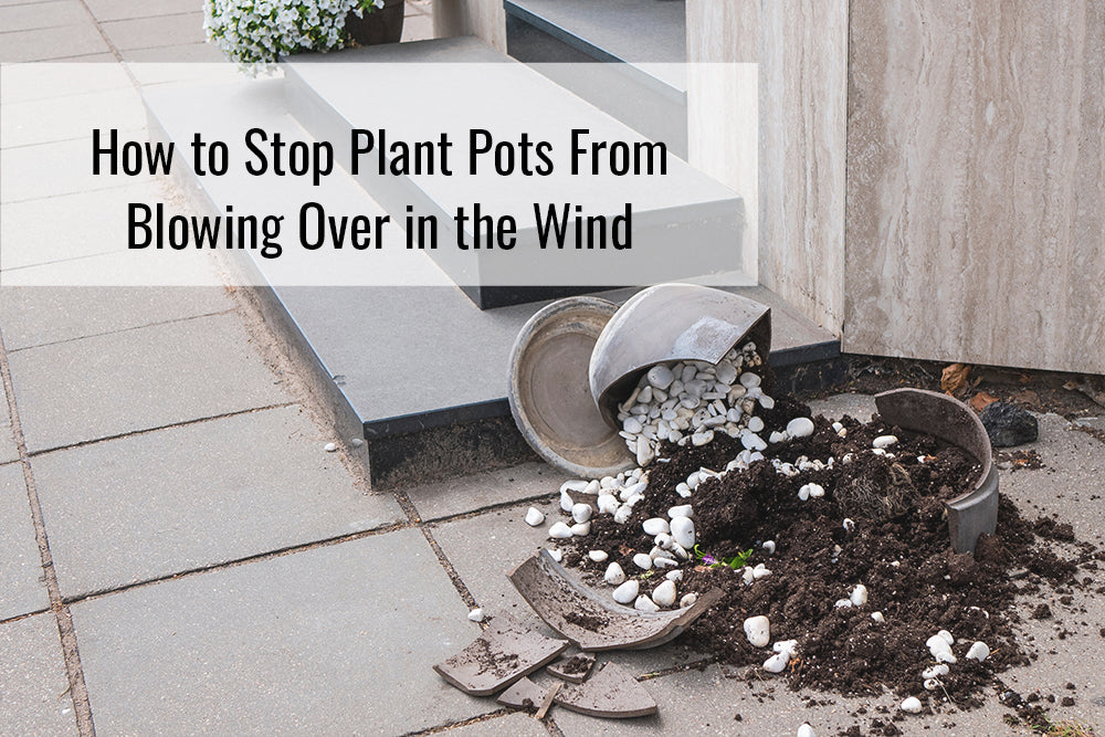 How to Stop Plant Pots From Blowing Over in the Wind Sunnydaze Decor