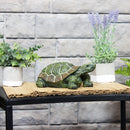 Sunnydaze Terrance the Tortoise Garden Statue - 9"