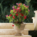 Sunnydaze Darcy Polyresin Outdoor Garden Planter Urn - Beige - 16"