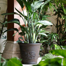Sunnydaze Arabella Polyresin Outdoor Flower Pot Planter