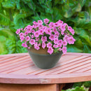 Sunnydaze Round Glazed Ceramic Planter with Drainage