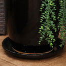 Sunnydaze Set of 2 Glazed Ceramic Planter Saucers