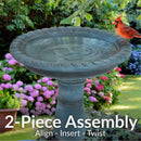 Sunnydaze Façade du Soleil Reinforced Concrete Bird Bath - 26"