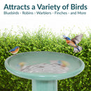 Sunnydaze Glazed Ceramic Outdoor Bird Bath