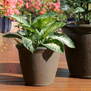 Sunnydaze Anjelica Polyresin Outdoor Flowerpot Planter