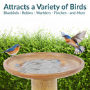 Sunnydaze Glazed Ceramic Outdoor Bird Bath
