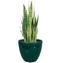 Sunnydaze Round Glazed Ceramic Planter with Drainage