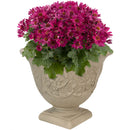 Sunnydaze Darcy Polyresin Outdoor Garden Planter Urn - Beige - 16"