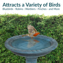 Sunnydaze Façade du Soleil Reinforced Concrete Bird Bath - 26"