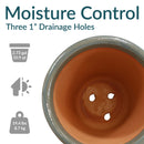 Sunnydaze Studio Glazed Ceramic Planter with Drainage
