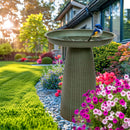 Sunnydaze Gleeful Garden Metal Outdoor Bird Bath - UV-Resistant Finish