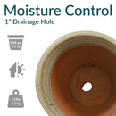 Sunnydaze Studio Glazed Ceramic Planter with Drainage Holes - Set of 2
