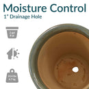 Sunnydaze Studio Glazed Ceramic Planter with Drainage Holes - Set of 2