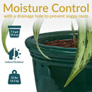 Sunnydaze Studio Glazed Ceramic Planter with Drainage