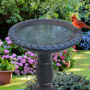 Sunnydaze Façade du Soleil Reinforced Concrete Bird Bath - 26"