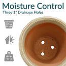 Sunnydaze Studio Glazed Ceramic Planter with Drainage
