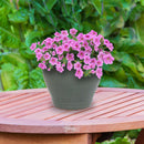 Sunnydaze Round Glazed Ceramic Planter with Drainage