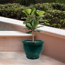 Sunnydaze Round Glazed Ceramic Planter with Drainage