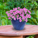 Sunnydaze Round Glazed Ceramic Planter with Drainage