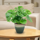 Sunnydaze Resort Glazed Ceramic Planter with Drainage Holes - Set of 2