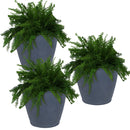 Sunnydaze Anjelica Polyresin Outdoor Flowerpot Planter