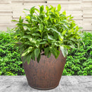 Sunnydaze Anjelica Polyresin Outdoor Flowerpot Planter