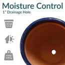 Sunnydaze Resort Glazed Ceramic Planter with Drainage Holes - Set of 2