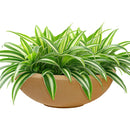 Sunnydaze Percival Polyresin Outdoor Planter Bowl - 20.75"