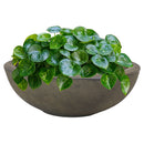Sunnydaze Percival Polyresin Outdoor Planter Bowl - 20.75"