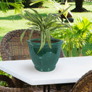 Sunnydaze Round Glazed Ceramic Planter with Drainage