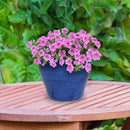 Sunnydaze Round Glazed Ceramic Planter with Drainage