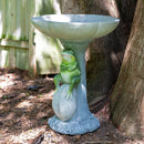 Sunnydaze Polyresin Brooding Frog on Stone Outdoor Garden Bird Bath
