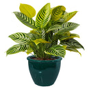 Sunnydaze Round Glazed Ceramic Planter with Drainage