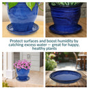 Sunnydaze Set of 2 Glazed Ceramic Planter Saucers