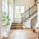 Sunnydaze Realistic Faux Olive Tree in Pot with Silk Leaves