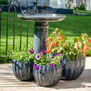 Sunnydaze Toulon Outdoor Ceramic Bird Bath - 24.5" H
