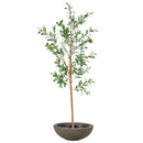Sunnydaze Realistic Faux Olive Tree with Planter Pot