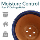 Sunnydaze Studio Glazed Ceramic Planter with Drainage