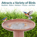 Sunnydaze Glazed Ceramic Outdoor Bird Bath