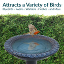 Sunnydaze Façade du Soleil Reinforced Concrete Bird Bath - 26"