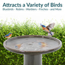 Sunnydaze Glazed Ceramic Outdoor Bird Bath