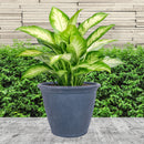 Sunnydaze Anjelica Polyresin Outdoor Flowerpot Planter