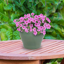 Sunnydaze Round Glazed Ceramic Planter with Drainage