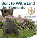 Sunnydaze Todd the Tortoise Indoor/Outdoor Garden Statue - 30"