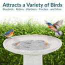 Sunnydaze Glazed Ceramic Outdoor Bird Bath