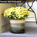Sunnydaze Set of 2 Glazed Ceramic Planter Saucers