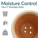 Sunnydaze Studio Glazed Ceramic Planter with Drainage