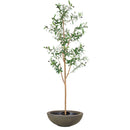 Sunnydaze Realistic Faux Olive Tree with Planter Pot