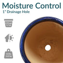 Sunnydaze Resort Glazed Ceramic Planter with Drainage Holes - Set of 2